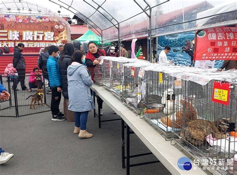 新北動保處攜手三峽廣行宮 成功認養毛寶貝免費點平安燈 蕃新聞