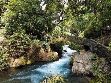 Parque Nacional Barranca Del Cupatitzio Uruapan 2021 Lo Que Se Debe