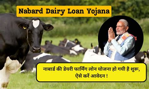 Nabard Dairy Loan Yojana Apply Online In Hindi