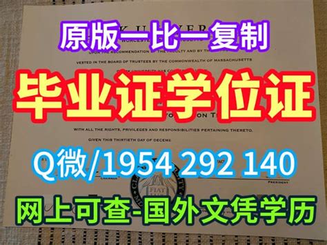 一比一原版制作奈尔洛德商业大学毕业证学位证成绩单 Ppt