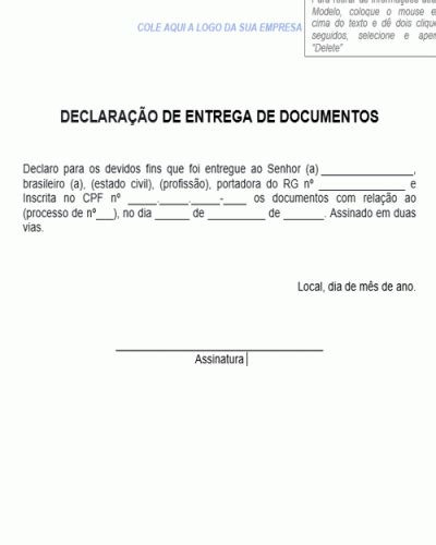 Exemplo de Declaração de Entrega de Documentos