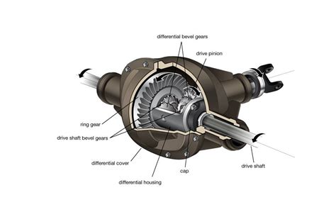 What Are Front And Rear Differentials At Sherman Bradshaw Blog