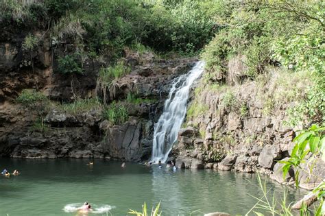 Waimea Waterfall - Hike to a Pristine Waterfall – Go Guides