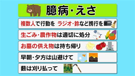 「冬眠前に人里に出没する可能性が」子グマが多くブナの実“凶作”か えさ求めるクマに注意 新潟県 Tbs News Dig 2ページ