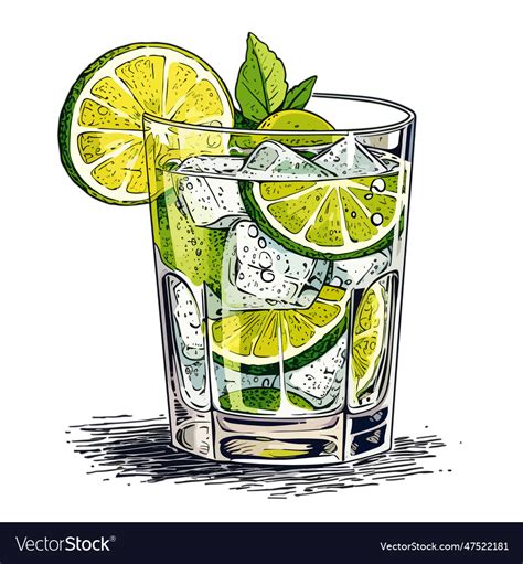 Gin And Tonic Colourful Royalty Free Vector Image