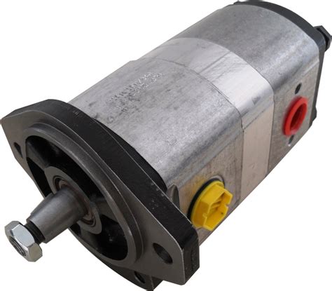 Autoscriba De Hydraulikpumpe Doppelpumpe Passend F R Massey