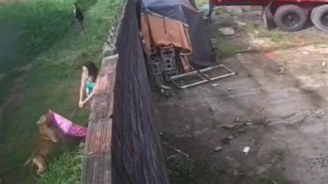 Notícias IMAGENS FORTES Mulher é atacada por pitbull enquanto