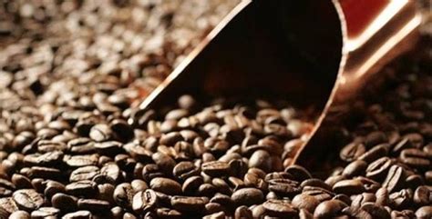 Safra de café do Brasil deve subir em 2016 e melhorar oferta para