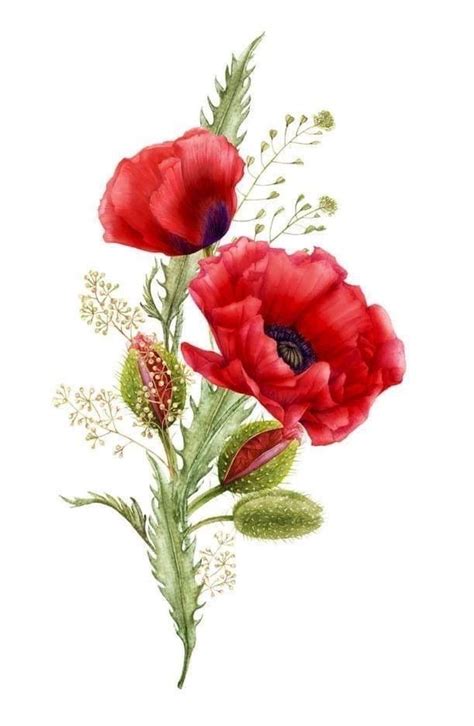 Pingl Par Ine Van Sur X Plaatjes En Coquelicots Peinture