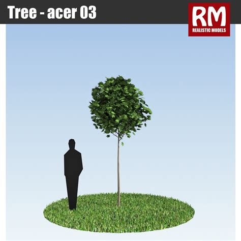 tree - 3d model