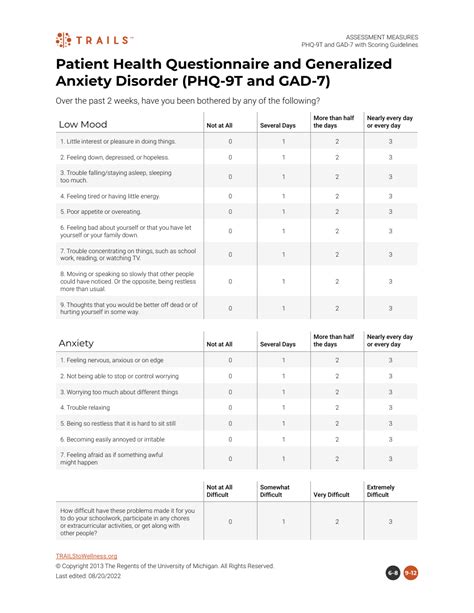 Patient Health Questionnaire And Generalized Anxiety Disorder Phq 9t