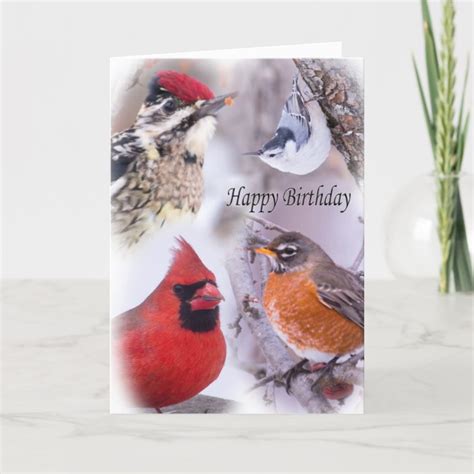 Variety Of Birds Happy Birthday Card