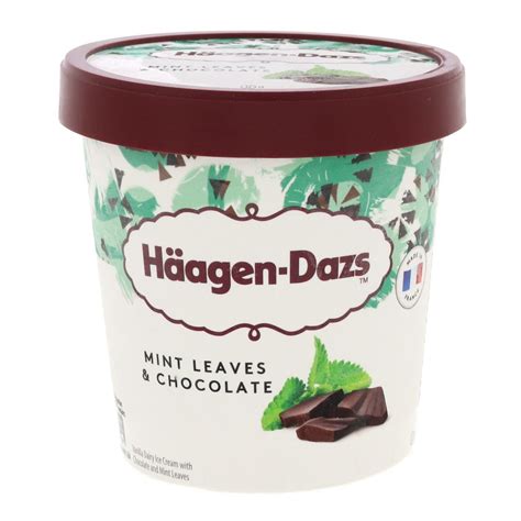 Haagen Dazs Ice Cream Mint Leaves And Chocolate 460ml Online At Best Price Ice Cream Take Home