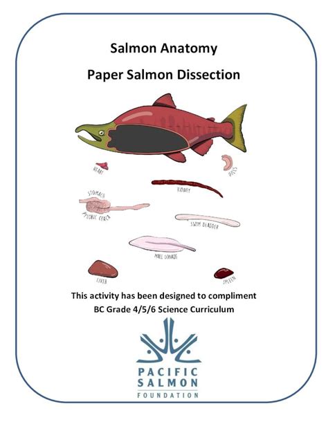 Pdf New Salmon Anatomy Paper Salmon Dissection Psf Salmon Paper