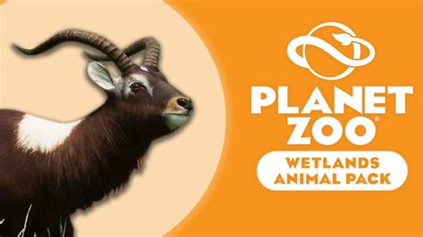 Lanjut Bikin Kandang Kijang Nile Lechwe Planet Zoo Youtube