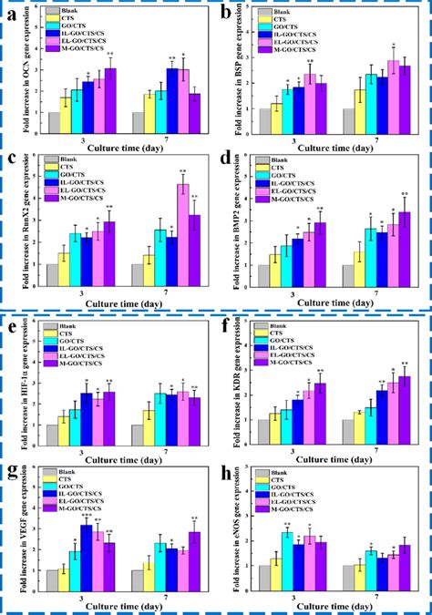 In Vitro Osteogenic Gene And Angiogenic Gene Expression A−d In Vitro