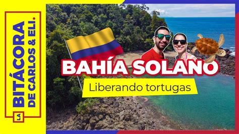 Descubre La Belleza Natural De Bahía Solano Un Paraíso En Colombia