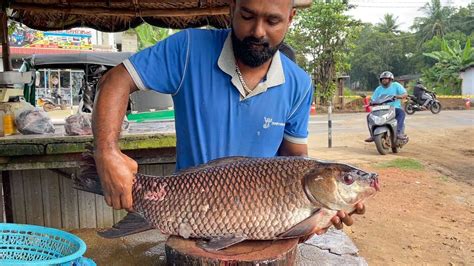 Amazing Live Kg Big Rohu Fish Cutting By Expert Fish Cutter In