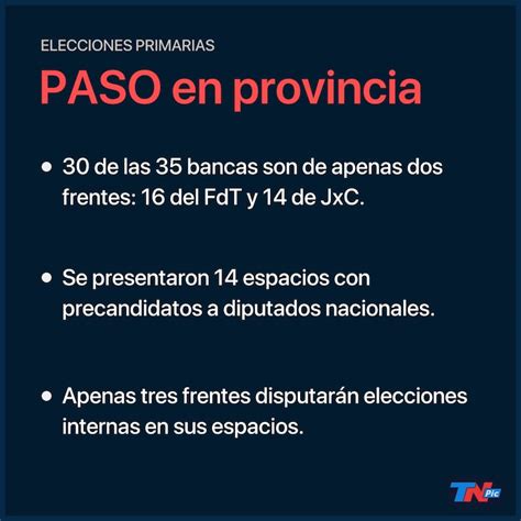 Paso 2021 Quiénes Son Los Precandidatos En Provincia De Buenos Aires Tn