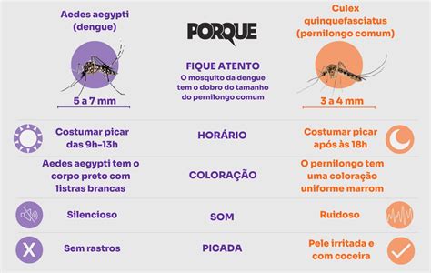 Diferença Entre Mosquito E Pernilongo - Saiba como diferenciar o mosquito da dengue do pernilongo
