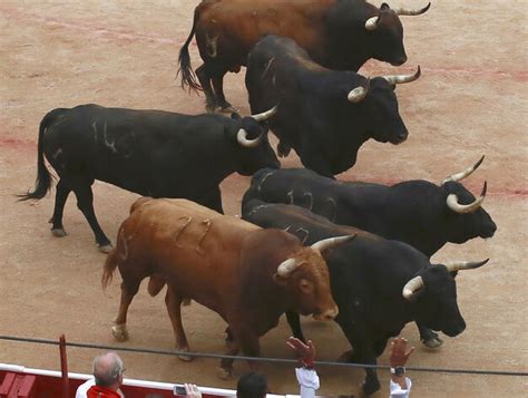 Encierro de los toros de Núñez del Cuvillo