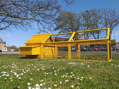 Skylight Cottage Chicken Coop With Meter Run Coops Hutches Uk