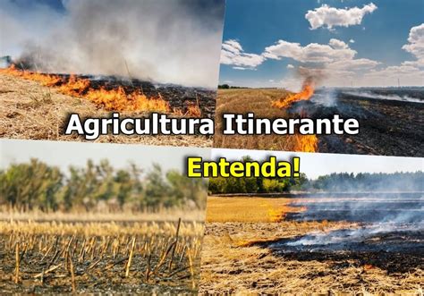 O Que E Agricultura Itinerante - Agricultura Itinerante: impactos e características