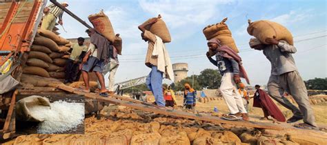 Global Rice Crisis Hits 20 Year High Navigating The Aftermath Of India