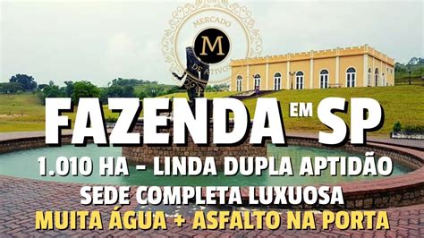 Espetacular Fazenda Produtiva Alto Padr O Em Sp Dupla Aptid O Tima