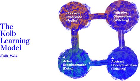 What Is Kolbs Model Understanding The Experiential Learning Cycle