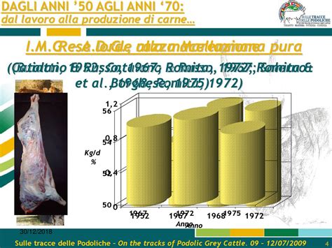 Trend Of Production And Quality Performances In Maremmana Breed Ppt