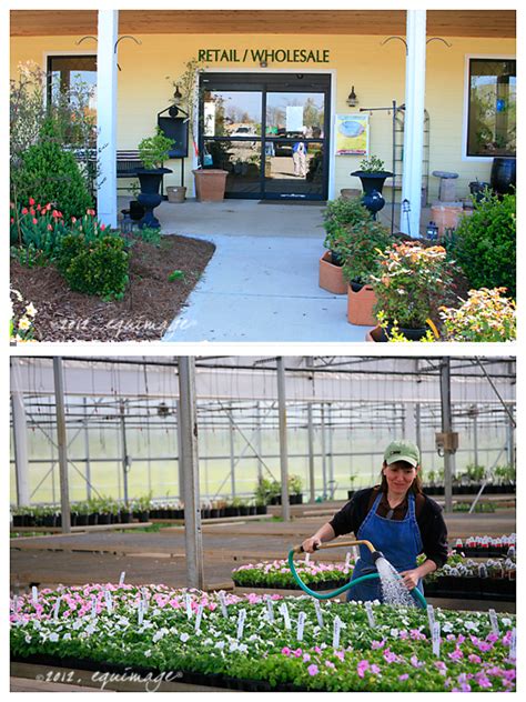 The No Till Gardener One Of My Favorite Places Marvins Organic Gardens