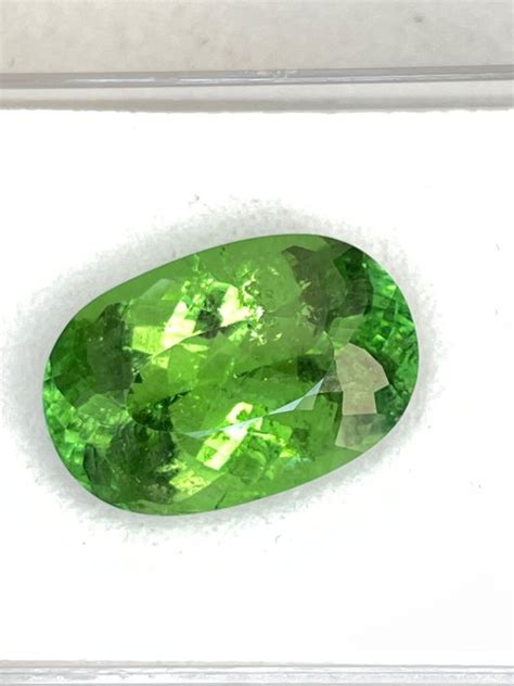 Pcs Yellowish Green Paraiba Tourmaline Ct Catawiki