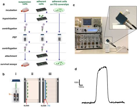 Streamlined Pulsed Electric Field Pef Treatment Of Adherent Cells On Download Scientific