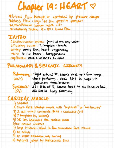 Heart Anatomy And Physiology 2 Lecture Notes Professor Heidi Borgeas