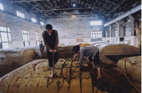 川酒醉天下｜國家級非遺名酒釀造技藝 每日頭條