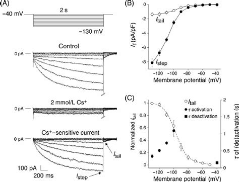 Voltage And Time Dependence Of The Hyperpolarization Activated Inward