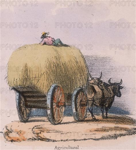 Haycart Photo Ann Ronan Picture Library