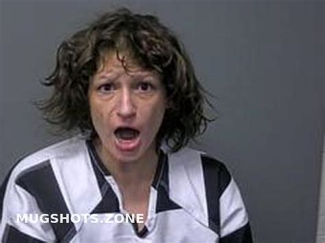 CARRI LEE SISK 06 06 2024 Baxter County Mugshots Zone