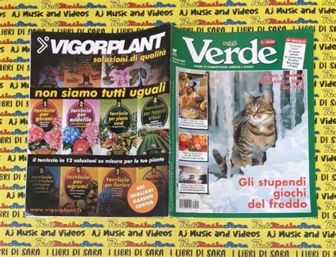 rivista magazine verde oggi  gennaio  gli stupendi giochi del