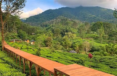 Penginapan Murah Di Puncak Bogor Yang Cocok Untuk Liburan Bersama