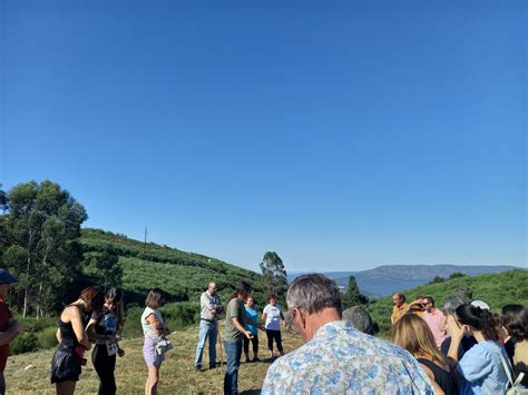 Freguesia de Refóios do... - Freguesia de Refóios do Lima