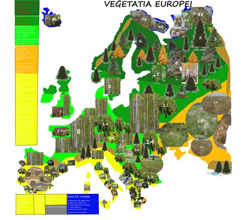 Zonele Biogeografice Din Europa Profu De Geogra