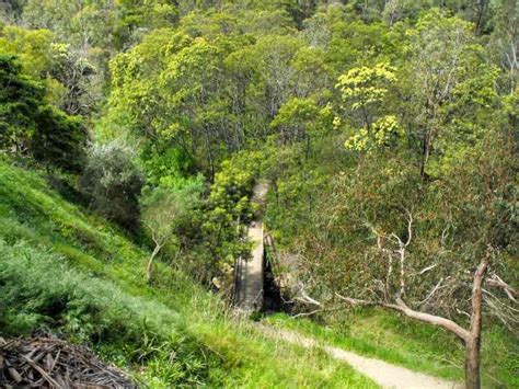 Tracks Trails And Coasts Near Melbourne Sweetwater Creek Bushland