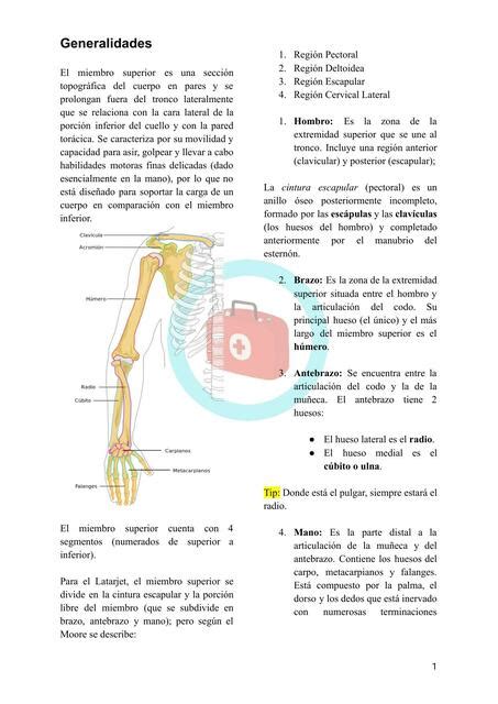 Miembro Superior Generalidades y Osteología Experiencia Médica uDocz