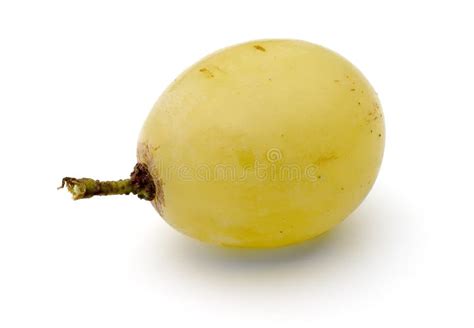 Single Grape Stock Photo Image Of Organic Close Grape 3403228