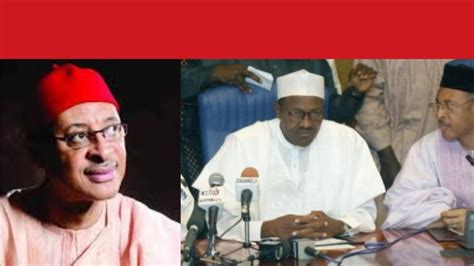 Pat Utomi Makes Shocking Revelation About Buhari Govt Youtube