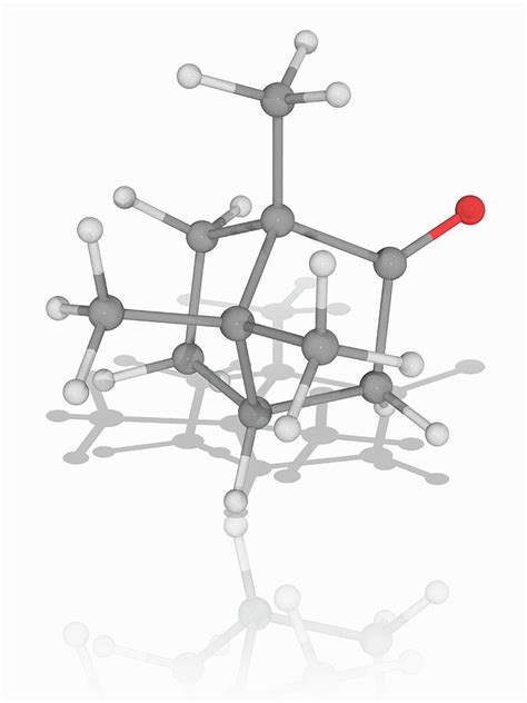 Camphor Organic Compound Molecule Photograph By Laguna Design Science