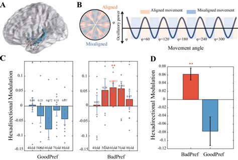 Hexadirectional Modulation Of Entorhinal Theta Power By Movement