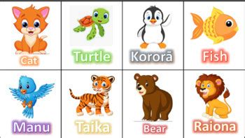 Te Reo Māori Animals Bingo by Miss Armiger TPT